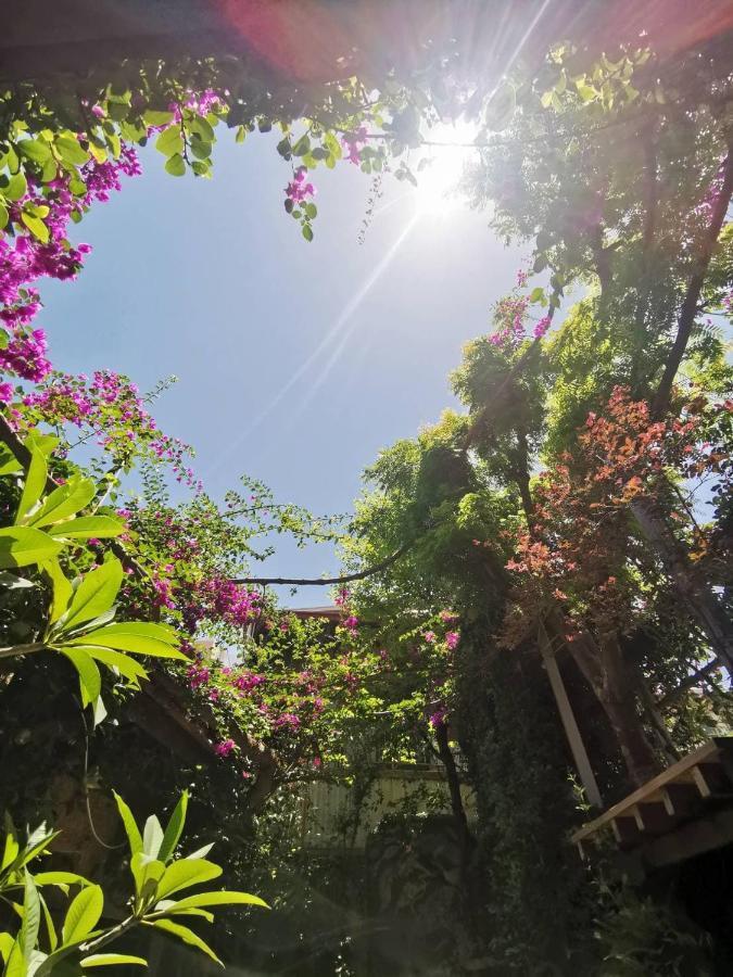 Dear B&B Đài Nam Ngoại thất bức ảnh